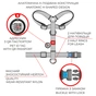 Шлея для собак WAUDOG Nylon з QR паспортом анатомічна H-подібна "Авокадо" S (5612) - уменьшенное изображение 4