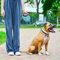Повідець для собак WAUDOG R-leash з контейнером для пакетів S до 12 кг 3 м блакитний (26272) - зменшене зображення 6
