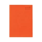 Щоденник шкільний Kite тверда обкладинка, поморанчевий (K25-262-10) - уменьшенное изображение 1