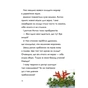 Книга А ось і Каллі Пустомукс. Книга 1 - Джулі Льойце Жорж (9786178287818) - preview 10