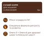 Сухий корм для кішок Club 4 Paws Premium для кошенят з лососем 5 кг (4820215369480) - зменшене зображення 2