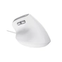 Мишка Trust Bayo II Ergonomic USB White (25397) - зменшене зображення 6