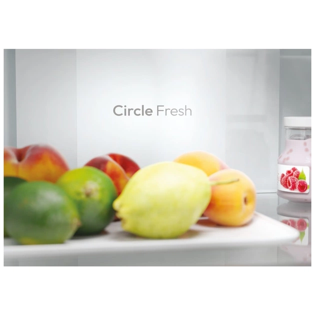 Холодильник Candy CNCQ2T620EB - зображення 11