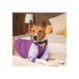 Толстовка для тварин Pet Fashion Lilac S бузкова (4823082427765) - зменшене зображення 5