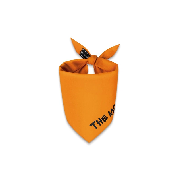 Бандана для тварин Pet Fashion "WEEKEND" XS-S помаранчева (4823082421107) - изображение 1