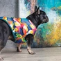 Жилет для тварин Pet Fashion "SPRING" XS принт (4823082420520) - зменшене зображення 4