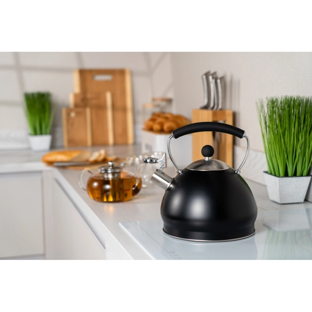 Чайник Ardesto Black Mars 3 л (AR0748KS) - picture 5