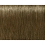 Фарба для волосся Indola Permanent Caring Color 8.18 - Світлий блонд попелястий шоколадний (4045787931822) - зменшене зображення 2