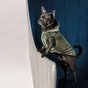 Жилет для тварин Pet Fashion LOUIS L (4823082427499) - зменшене зображення 3