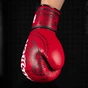 Боксерські рукавички Phantom Muay Thai Red 12 унцій (PHBG2505-12) - зменшене зображення 7