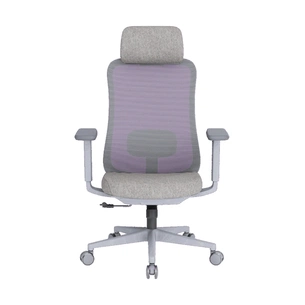 Офісне крісло OfficePro Wave OC599-G-G-G (OC599-G-G-G) зображення 1