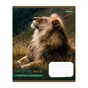 Зошит 1 вересня Into the wild А5 48 аркушів лінія (769131) - зменшене зображення 2