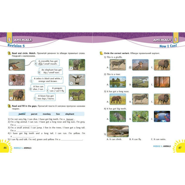 Робочий зошит НУШ Англійська мова. 2 клас. Із прописами. До підруч. Г. К. Мітчелла - Лана Грейс Ранок (9786177048410) - picture 7