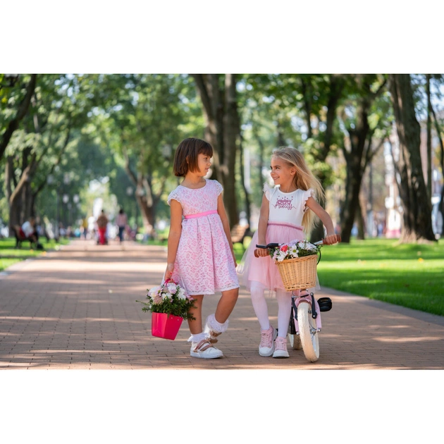 Дитячий велосипед Miqilong RM Рожевий 12` (ATW-RM12-PINK) - зображення 12