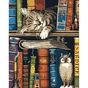 Картина по номерам Santi Котик та книжки 40*50 см (954688) - уменьшенное изображение 1