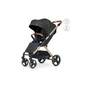 Коляска El Camino Dynamic (ME 1053G special black) - зменшене зображення 1