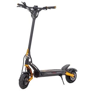 Електросамокат Kaabo Mantis King GT Gold picture 1