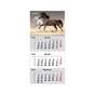 Календар Axent настінний квартальний на 2026 р. Horses 3 (8801-26-16-A) - зменшене зображення 1