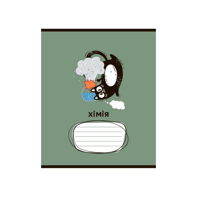 Зошит ZiBi набір учнівських CRAZY CAT 48 аркушів клітинка 10 штук, 8 предметів (ZB.1703-99) - picture 6