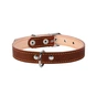 Нашийник для тварин Collar подвійний Ш 14 мм Д 27-35 см коричневий (00126) - зменшене зображення 2