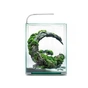 Акваріум AquaEl Shrimp Set Smart для креветок прямий білий 19 л (5905546326223) - зменшене зображення 2