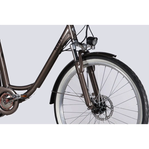 Електровелосипед Dorozhnik 26" eRUBY DD FR рама-17" 48B 15А*г 500Вт 2026 мокрий асфальт (ELB-D-26-303) - picture 4