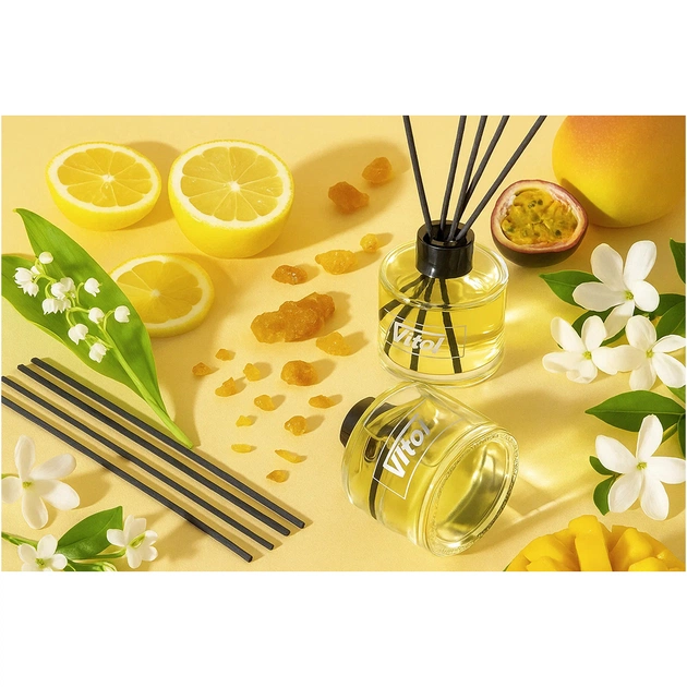 Ароматизатор для автомобіля VITOL Home Sticks Fruit Garden 130 мл (VHS02) - picture 3