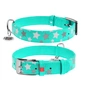 Нашийник для тварин WAUDOG Glamour з QR паспортом "Зірочка" M Ш 25 мм Д 38-49 см ментоловий (358713) - зменшене зображення 1