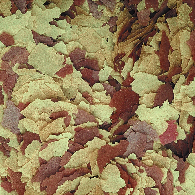 Корм для риб Tropical у пластівцях 21 л (5900469744291) - picture 2