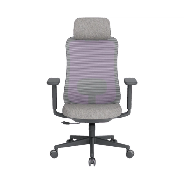 Офісне крісло OfficePro Wave OC599-B-DG-DG (OC599-B-DG-DG) - зображення 1