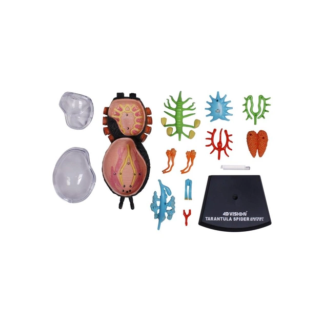 Пазл 4D Master Павук Тарантул (FM-622032) - picture 10