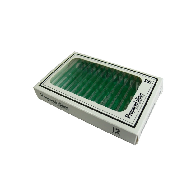 Набір мікропрепаратів Sigeta Entrance Тканини рослинних організмів 12 шт (65124) - picture 3