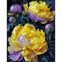 Картина по номерам Santi Жовті півонії, 40*50 (954845) - зменшене зображення 1