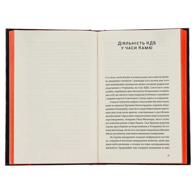 Книга Камю має померти - Джованні Кателлі Видавництво Старого Лева (9789664481028) - picture 5