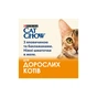 Вологий корм для кішок Purina Cat Chow Adult з яловичиною та баклажанами в желе 85г (7613036595025) - зменшене зображення 4