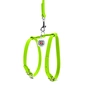 Шлея для собак WAUDOG Glamour з повідцем шкіряна Ш 9 мм А 20-30 см В 30-40 см салатова (33995) - зменшене зображення 2