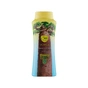 Гель для душу Shik Voyage Kiwano & Baobab 600 г (4820023369887) - зменшене зображення 1