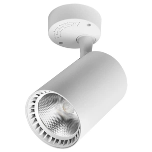 Спот Delux TL02S 30 Вт 4000K (90015902) изображение 1