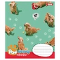 Зошит 1 вересня Pawsitively А5 24 аркушів клітинка (768240) - зменшене зображення 3