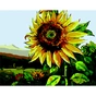 Картина по номерам ZiBi Назустріч сонцю 40*50 см ART Line (ZB.64136) - уменьшенное изображение 1