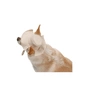 Кепка для тварин Pet Fashion Gold S (4823082446049) - зменшене зображення 4