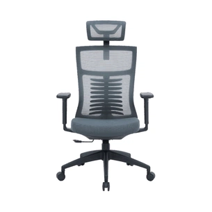 Офісне крісло OfficePro Balance OC550-B-DG-DG (OC550-B-DG-DG) зображення 1