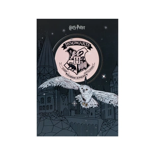 Блокнот Kite Harry Potter A5, 50 аркушів, клітинка (HP25-194-1) зображення 1