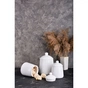 Банка Limited Edition Cook White 1.9 л (202B-009-A13) - уменьшенное изображение 3