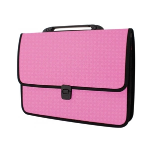 Папка - портфель Economix на застібці, фактура Вишиванка, рожевий (E31641-09) зображення 1