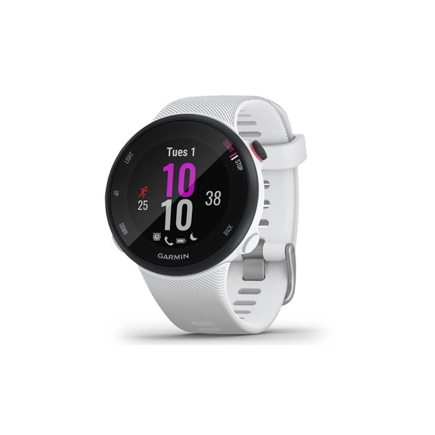 Смарт-годинник Garmin Forerunner 45s White (010-02156-10) - изображение 1