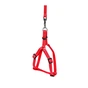 Шлея для собак Dog Extreme з нейлону регульована з повідцем Ш 15 мм В:40-55 см червона (07033) - зменшене зображення 3