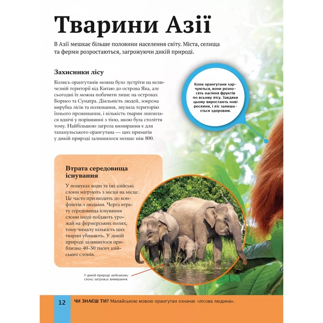 Книга Дитяча енциклопедія довкілля Vivat (9786171704831) - picture 12