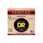Струни для гітари DR Strings VERITAS Coated Core Acoustic Guitar Strings - Light (12-54) (VTA-12) - уменьшенное изображение 1