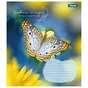 Зошит 1 вересня А5 1В Butterfly 48 аркушів лінія (767376) - зменшене зображення 3